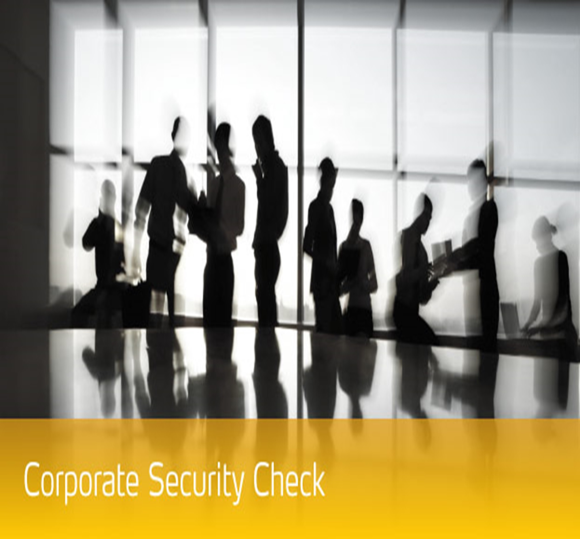 Corporate Security Check